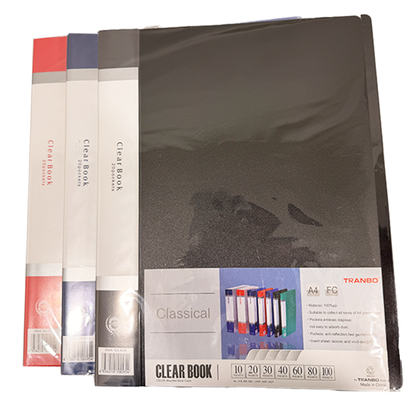 A4 30 HOLES REFILLABLE CLEAR HOLDER FILE - GREEN